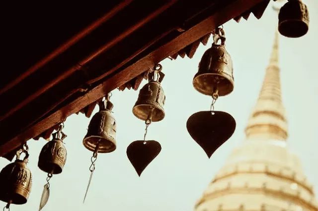 君行体验官专栏丨他在佛之国度,邂逅了一场浪漫