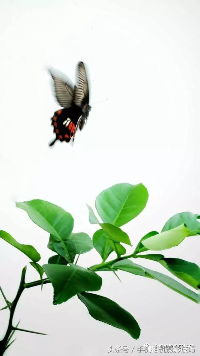 普通人如何拍出好看的照片,拍出风光好照片的30个基本功