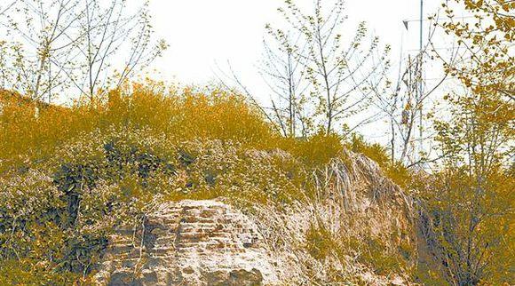 金朝亡国之战何等惨烈一日死两帝,金朝灭亡之战讲解