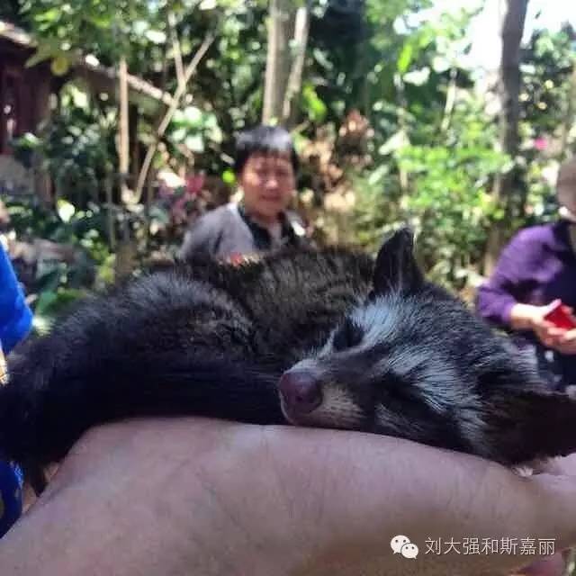 不去扎堆请到深山走走,巴厘岛正确的打开方式