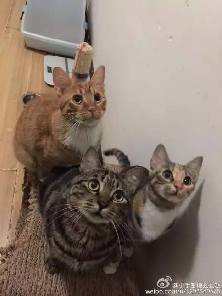 走到流浪的尽头,落入你的温暖怀抱