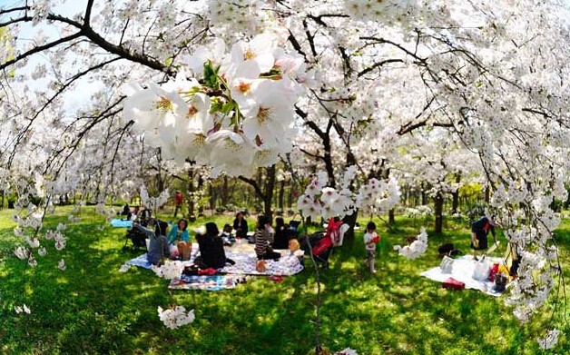 广州大热乡村旅游攻略,广州乡村游
