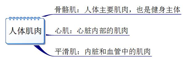 新手健身必须要知道的几件事,新手健身记住下面六条知识