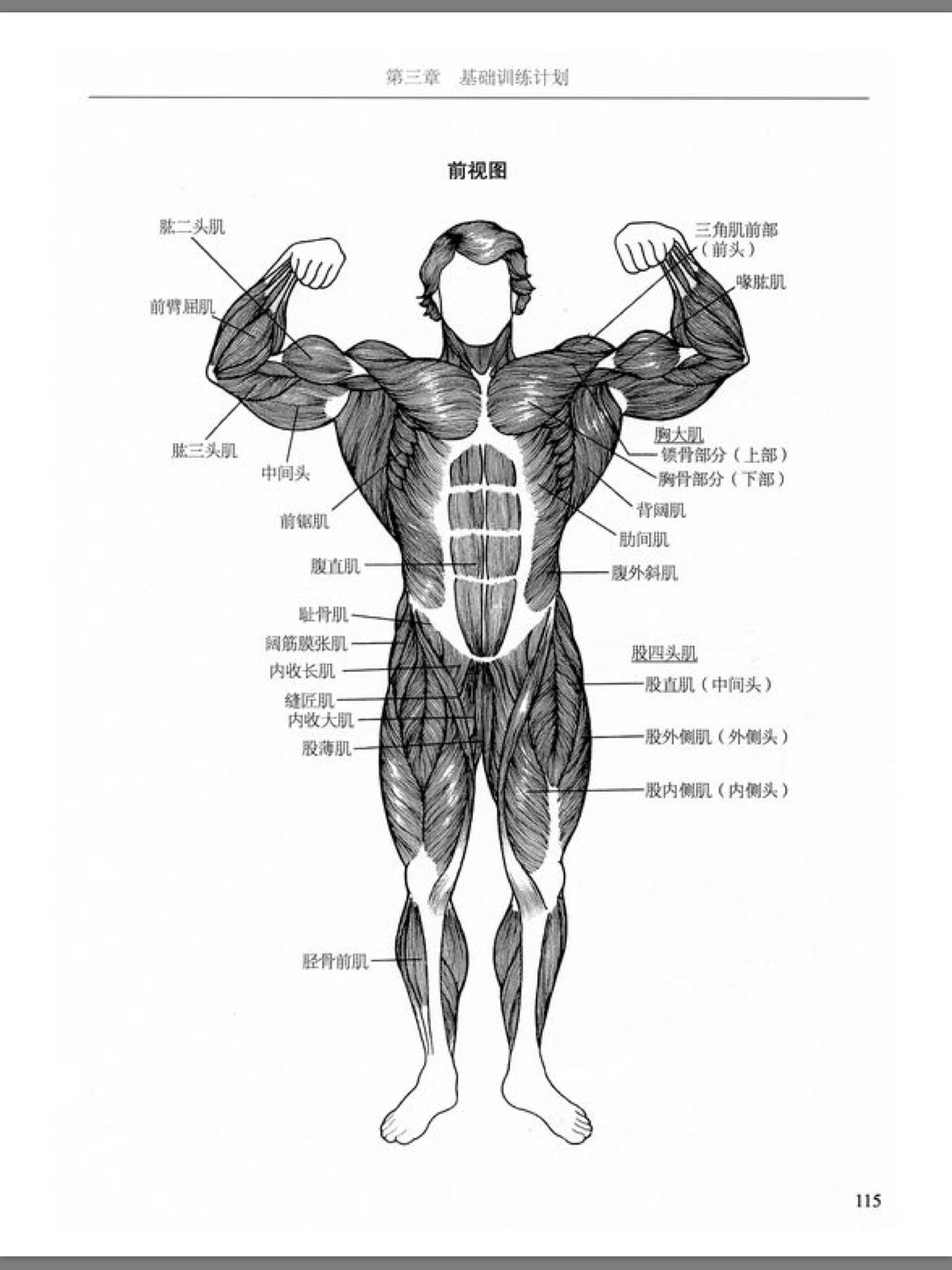 新手健身必须要知道的几件事,新手健身记住下面六条知识