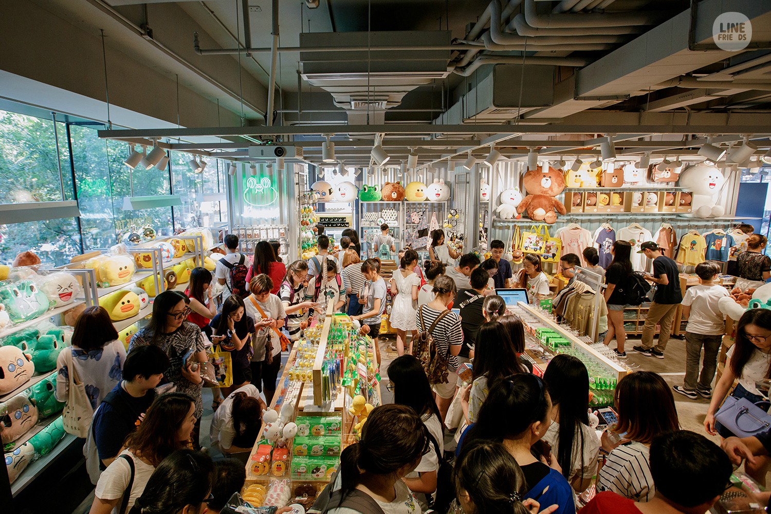 linefriends布朗熊为什么火,你对同学会的认识