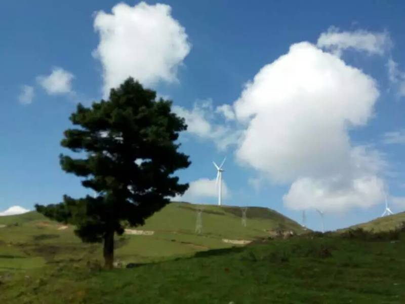 7月慢享时光，请不要放过普者黑