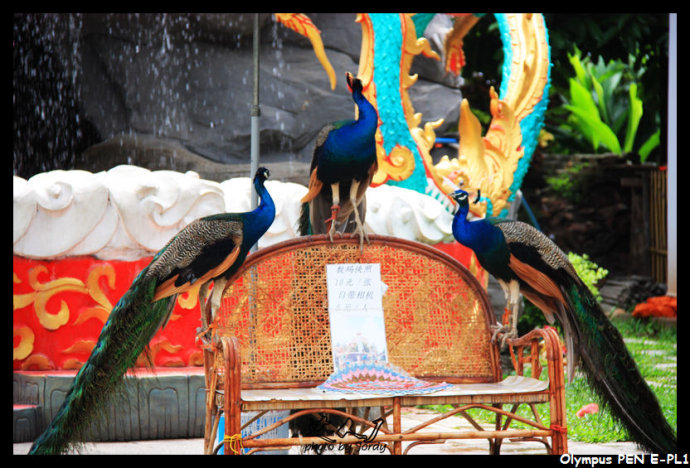 爱你所以气你,爱你所以放你走歌曲