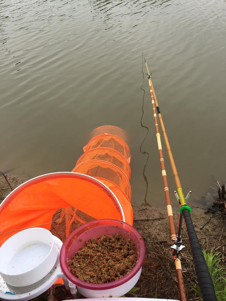 野钓风浪大钓鳊鱼,仲春如何野钓鳊鱼
