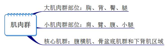 新手健身必须要知道的几件事,新手健身记住下面六条知识