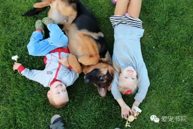 生肌散有副作用吗,狗狗生肌散