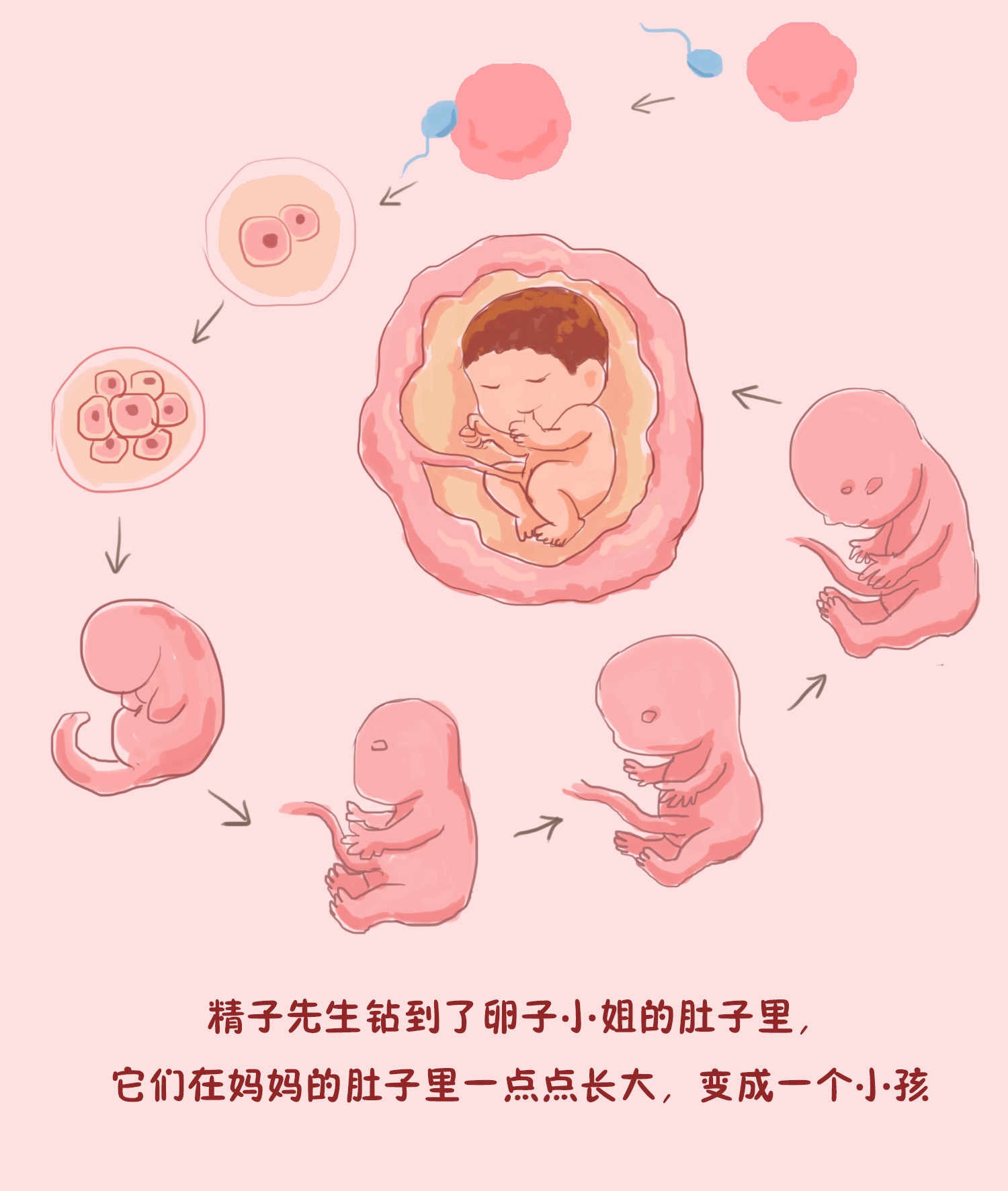 如何回答孩子我从哪里来这个问题,孩子从哪里来该怎么回答