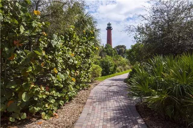 棕榈滩美景,棕榈滩沙滩