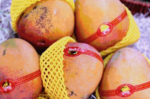 合肥惊现光速水果外卖,最晚到凌晨12点,这么任性的只有它了!