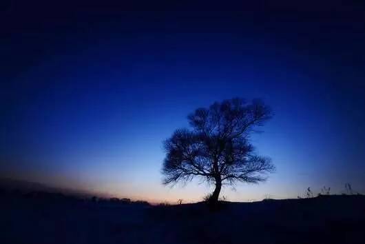 故事|2000元游遍全国后，肉与远方对他有了新的意义