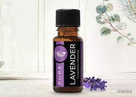 美乐家生姜精油的功效与作用,美乐家精油大全