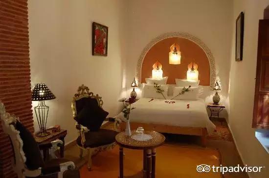 猫头鹰酒店排名,猫头鹰十大排名