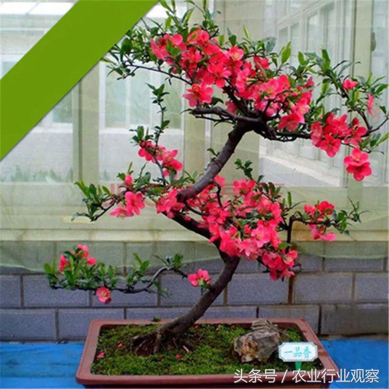 90后小伙摆摊赚7万,90后小伙做社交电商3个月真的赚钱