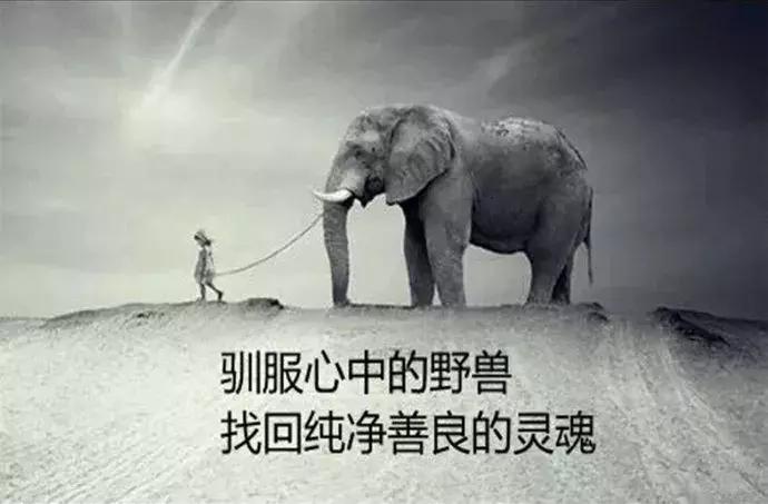 手淫和不手淫的区别