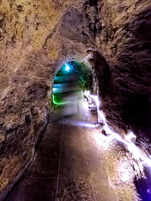 上方山森林动物世界游记,上方山动物园游记四年级