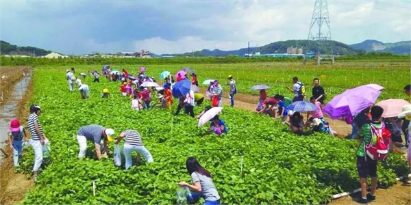 如何做好农村旅游工作,如何做好乡村休闲旅游