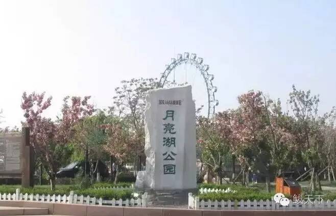 鲅鱼圈旅游攻略必去景点,鲅鱼圈旅游攻略最佳景点