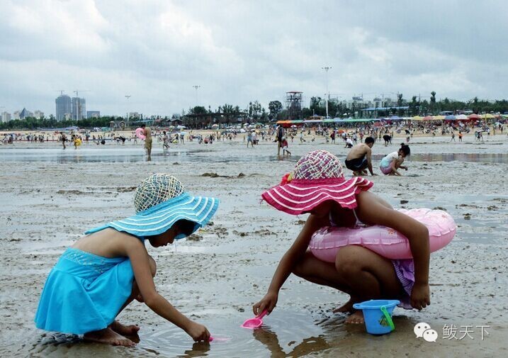 鲅鱼圈旅游景点都有什么,鲅鱼圈旅游景点攻略大全