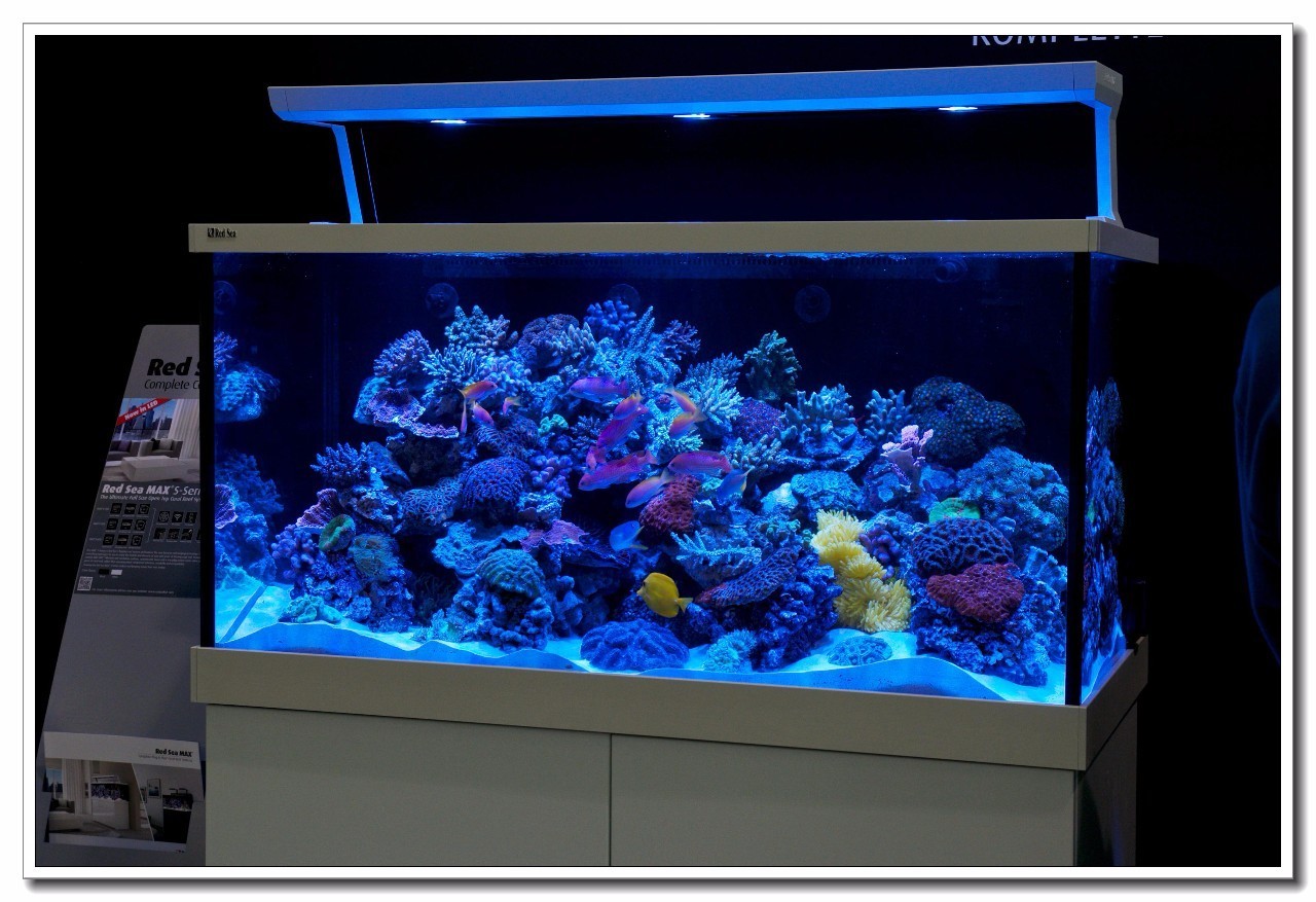 德国纽伦堡宠物展,2018德国纽伦堡宠物展