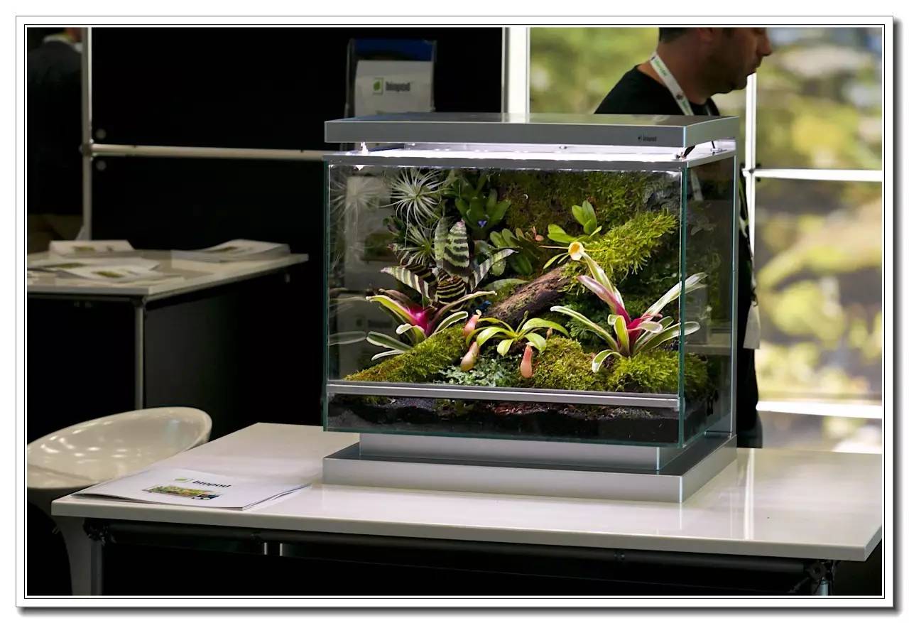 德国纽伦堡宠物展,2018德国纽伦堡宠物展