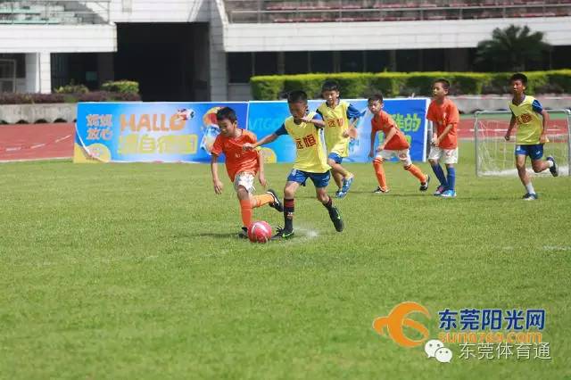 东莞少年三人足球比赛,2024东莞市青少年足球锦标赛