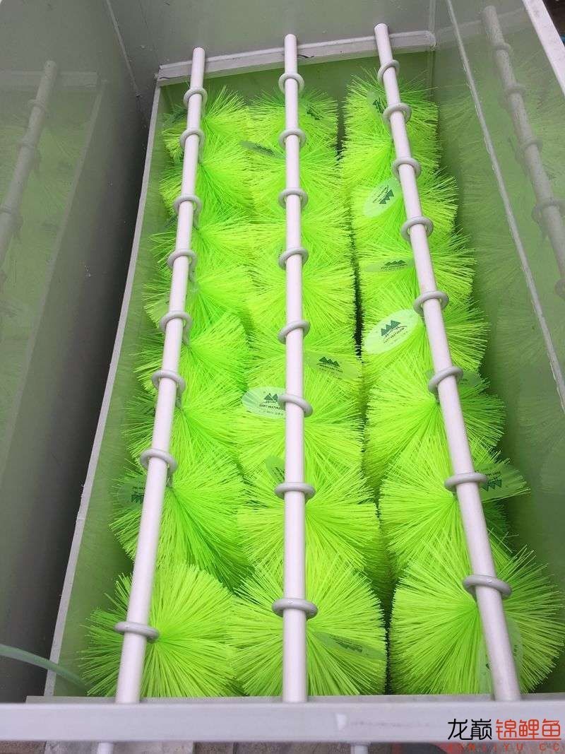 pp塑料锦鲤池,pp板材焊锦鲤池