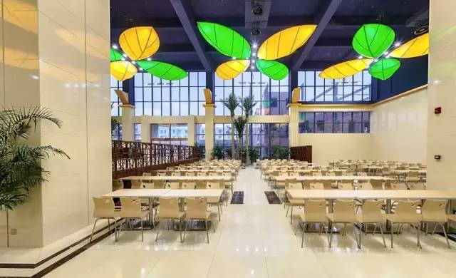 新乡冠英2019年中招分数线,新乡市冠英高级中学啥重点