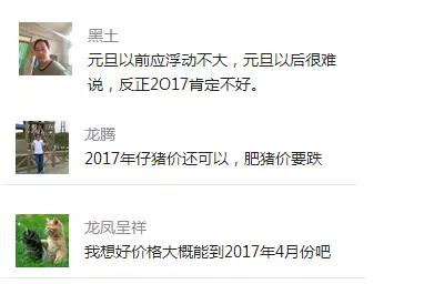 养猪人如何应对猪价变化,养猪新政策最近猪价