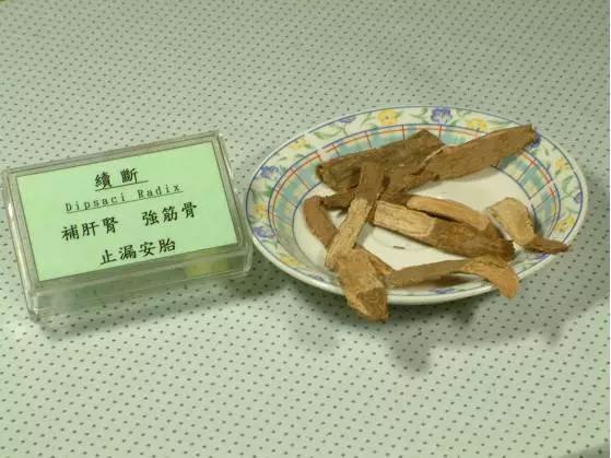 续断治骨伤效果,续断骨伤合剂功效和作用