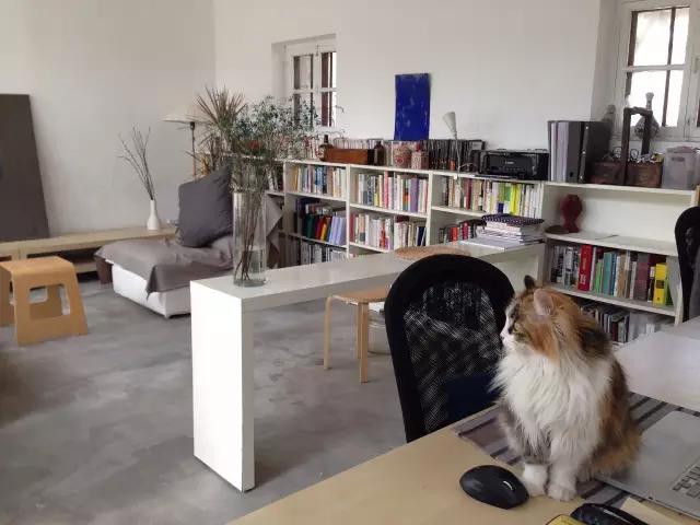 学区房小户型卧室简单装修,36平学区房设计