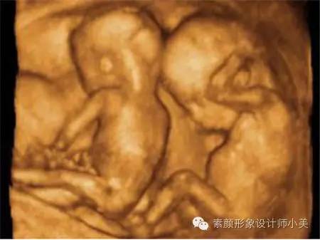 孕育课堂:怀孕二十三周胎儿发育与孕妈变化