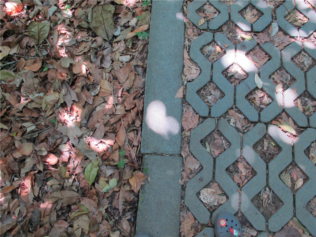 那些年我们一起旅游,台湾垦丁旅游三日游