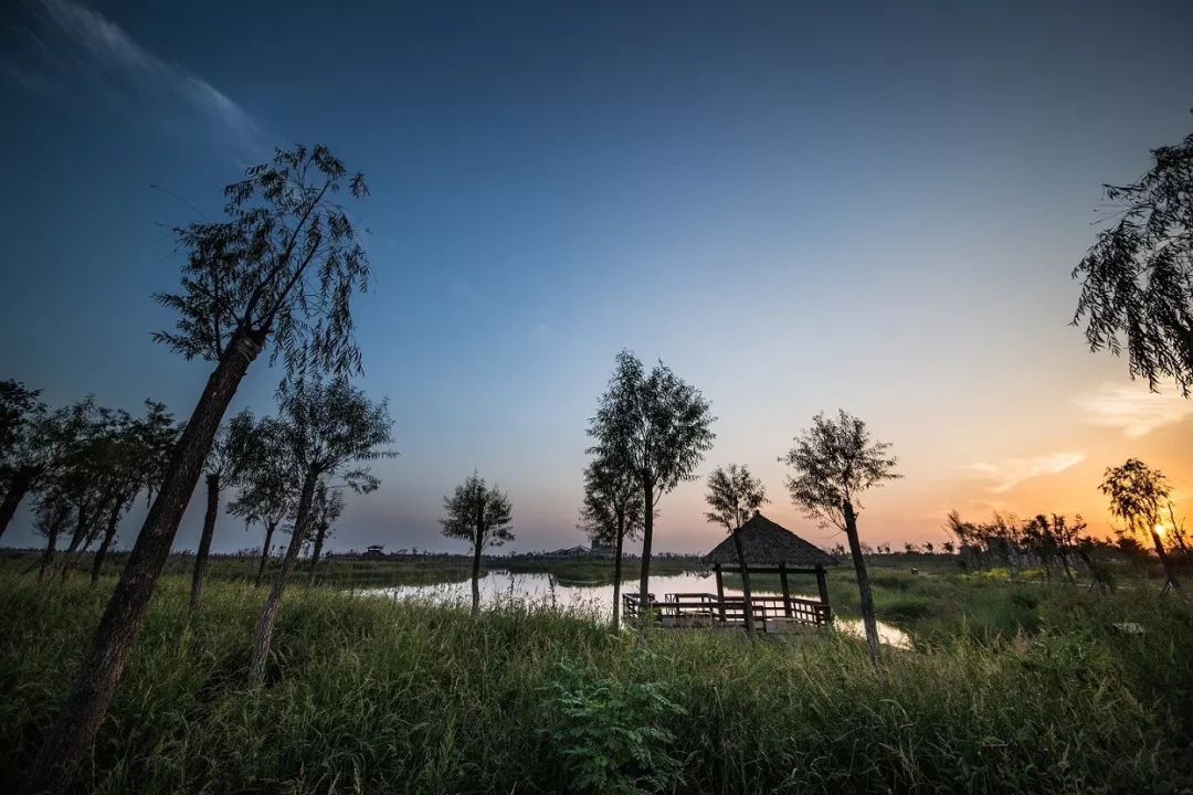 动物们嗷嗷待哺，在北京周边这个度假区里，你就是饲养员！