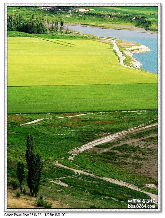 梦里花开——*疆新**，又一次的心动