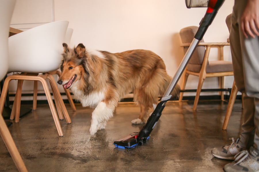 飞利浦无绳吸尘器有用吗,飞利浦哪款无绳吸尘器好