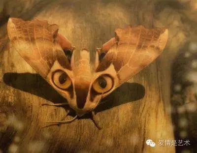 互联网上千奇百怪的图片,网络古怪图片