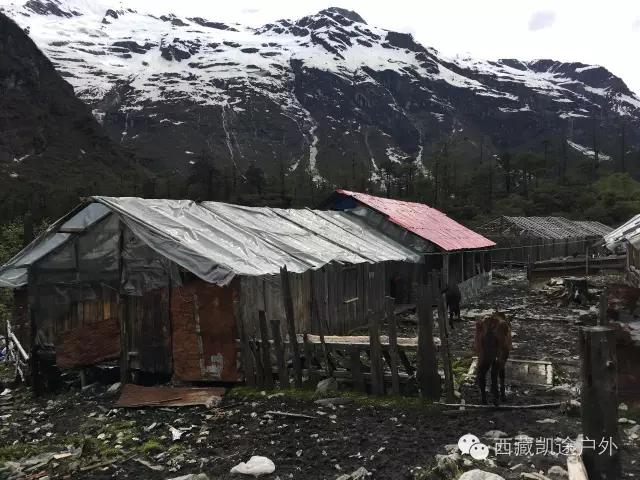 墨脱徒步攻略,墨脱雪山到热带雨林