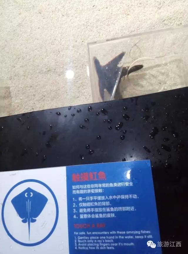 南昌万达城值不值得购买,南昌万达旅游城哪个区好