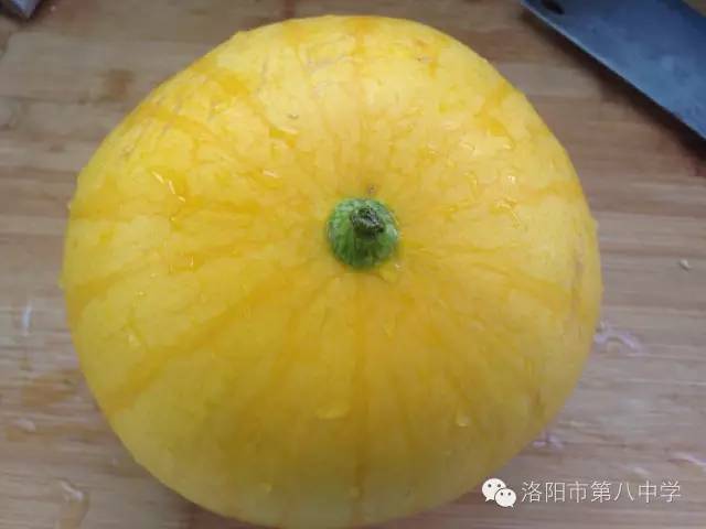 八中洛阳市,洛阳八中学校厉害吗