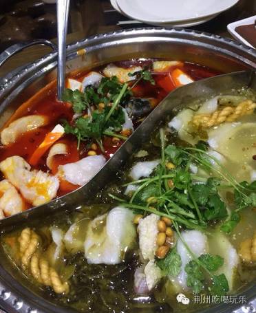 湖北荆州海洋世界美人鱼,十大绝美美人鱼