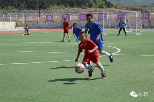 延庆区第十九届校园足球联赛,延庆区2024足球赛高中