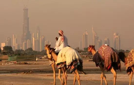 一广州人去迪拜,但最后回来哭着说