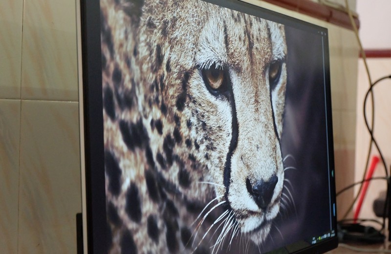 无频闪24寸显示器推荐,低闪屏显示器测评