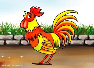 十二生肖属鸡人,十二生肖属鸡的与啥属相相配