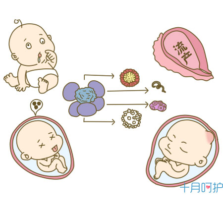 怀孕知识大百科阅读,孕期必须知道的3个常识
