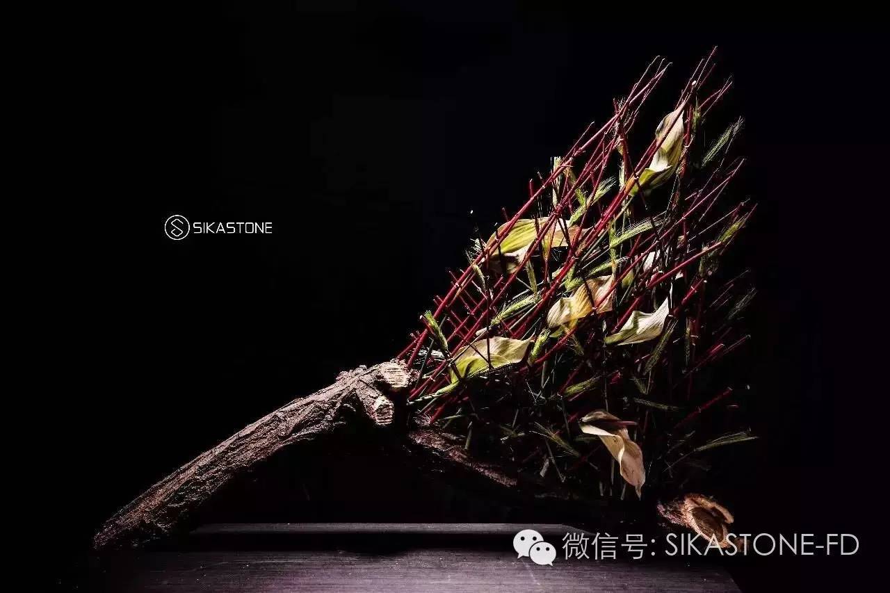 “只要有家花店，有些事就一定是要做的”——魏红波